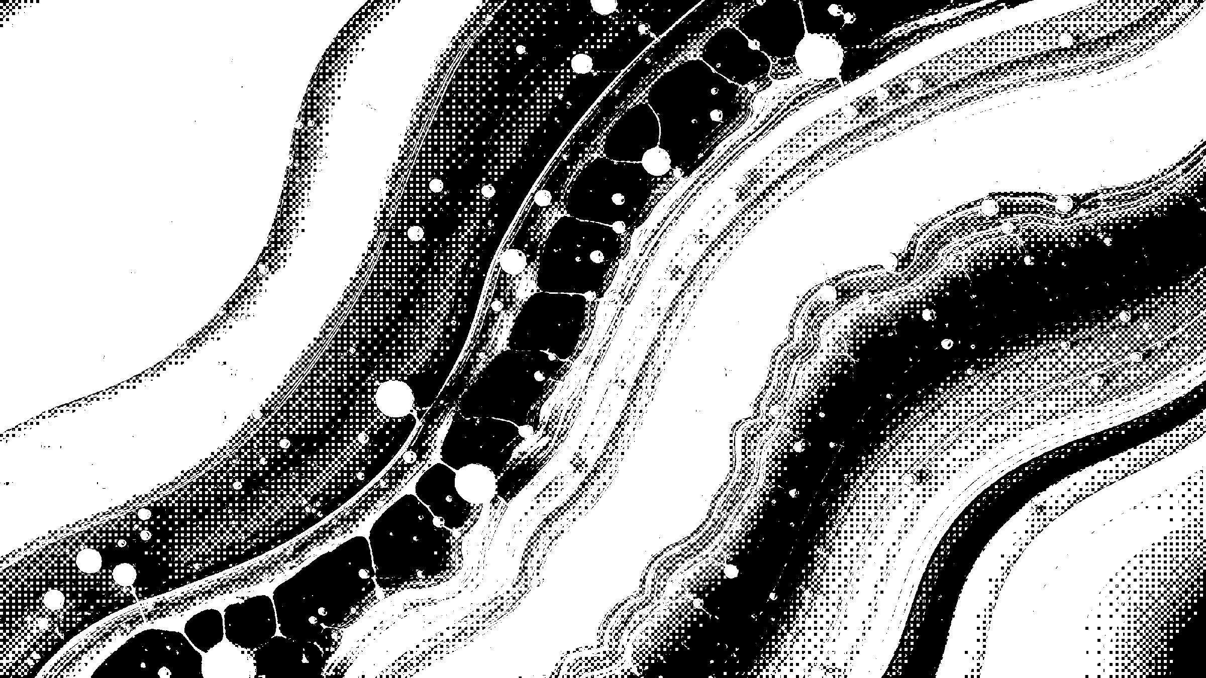 project image 1