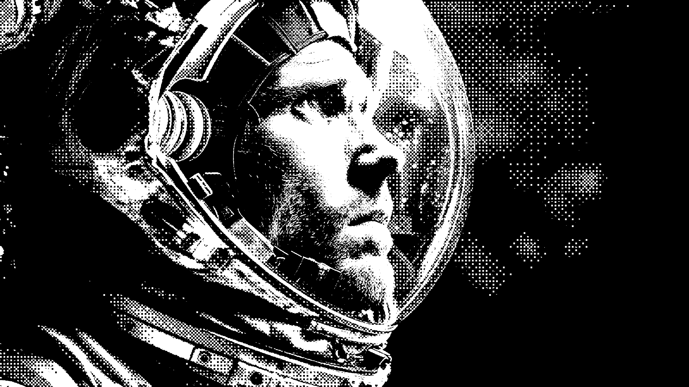 project image 1
