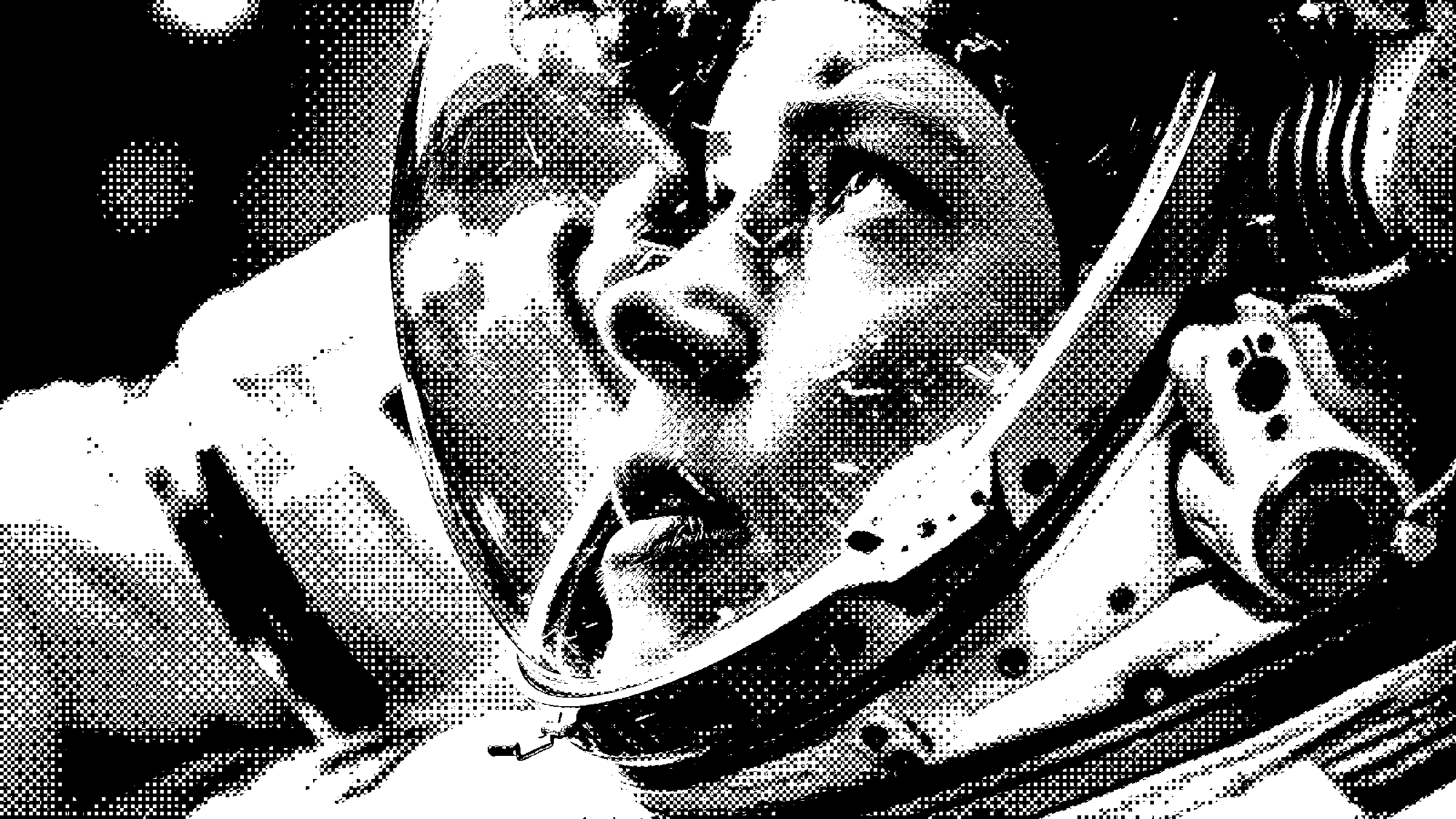 project image 3