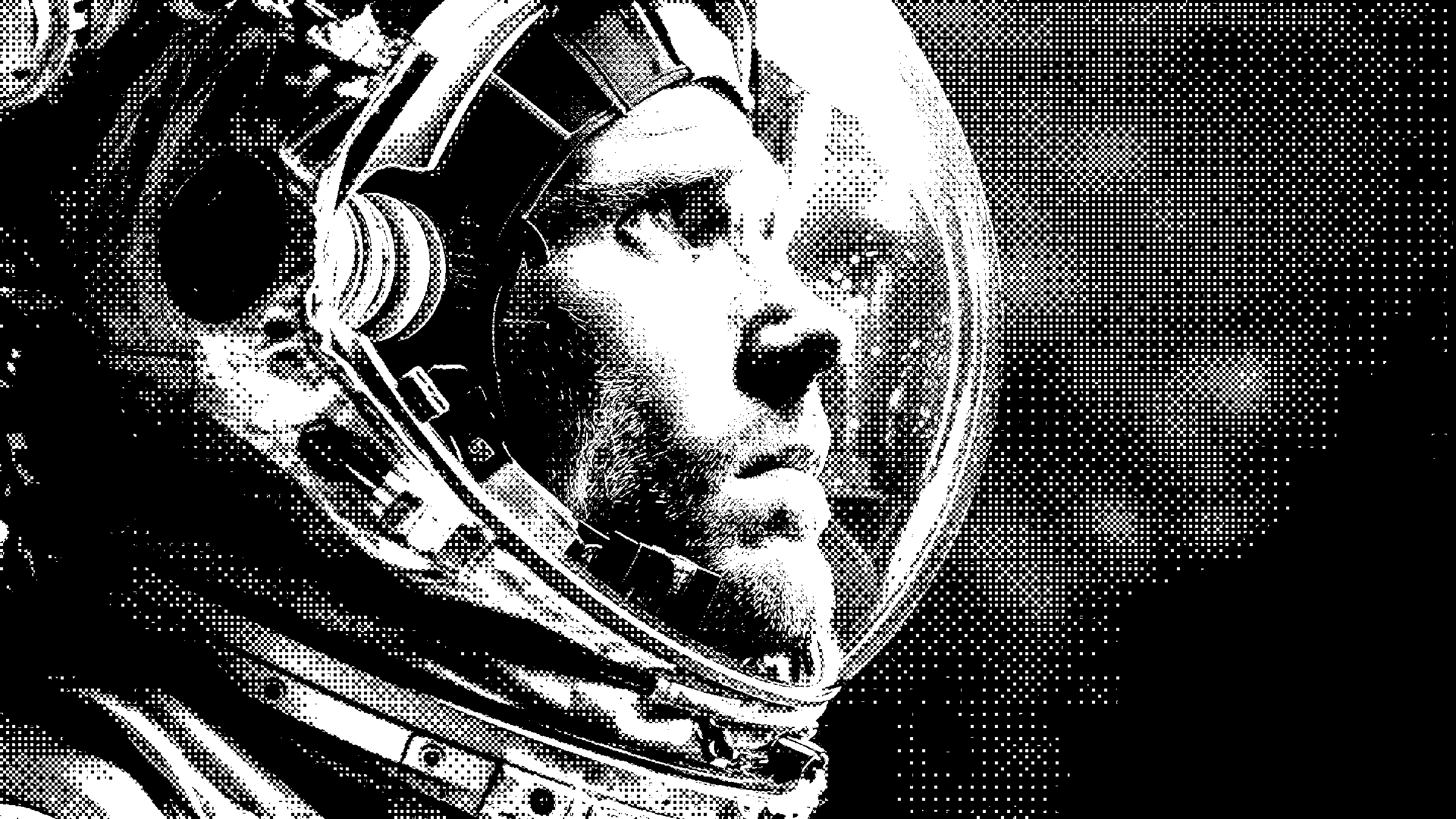 project image 1